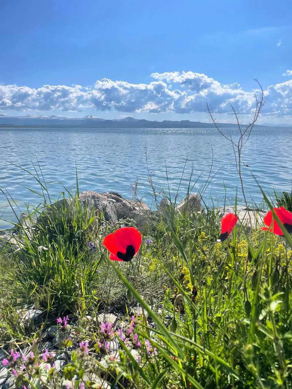 Sevan Experience · 2022